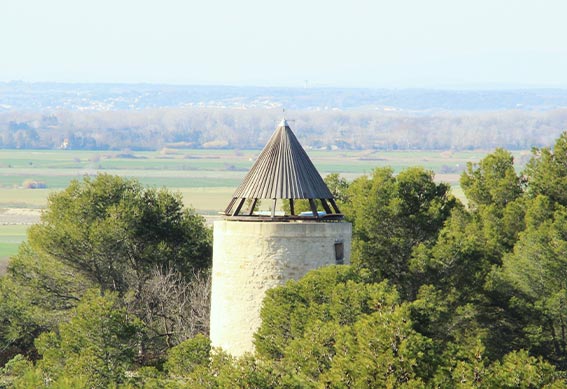 Vue sur une tour au milieu d'une forêt