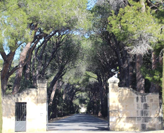 Vue sur une longue allée entourée d'arbre